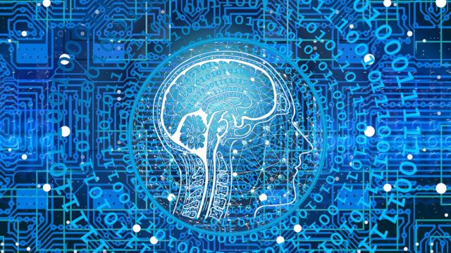 Si può misurare l’intelligenza umana? Ecco come si calcola il QI