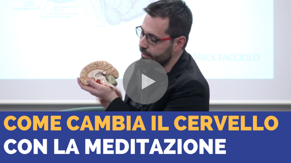 Come cambia il cervello con la meditazione