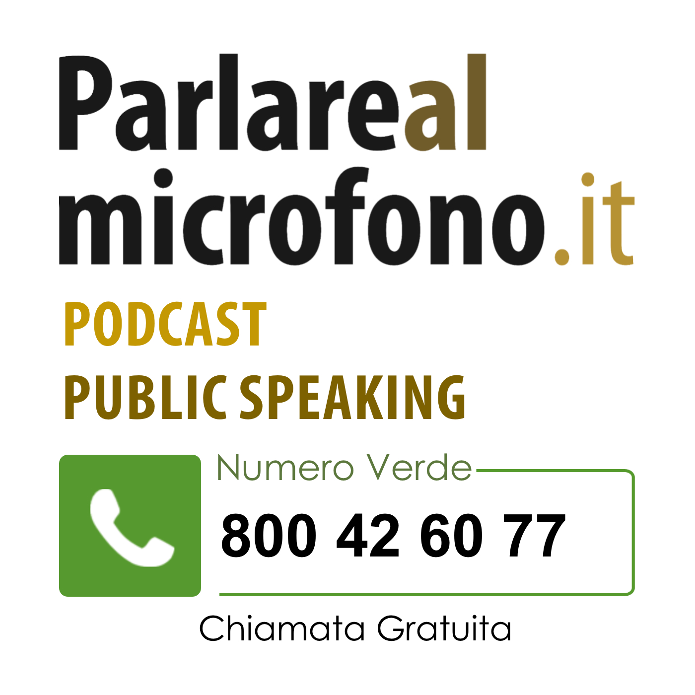 Parlare in Pubblico Public Speaking Parlare in Pubblico Public Speaking